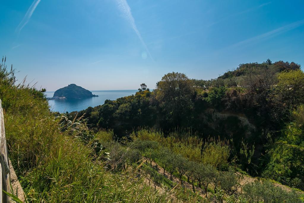 Hotel Villa Fumerie Forio di Ischia Kültér fotó