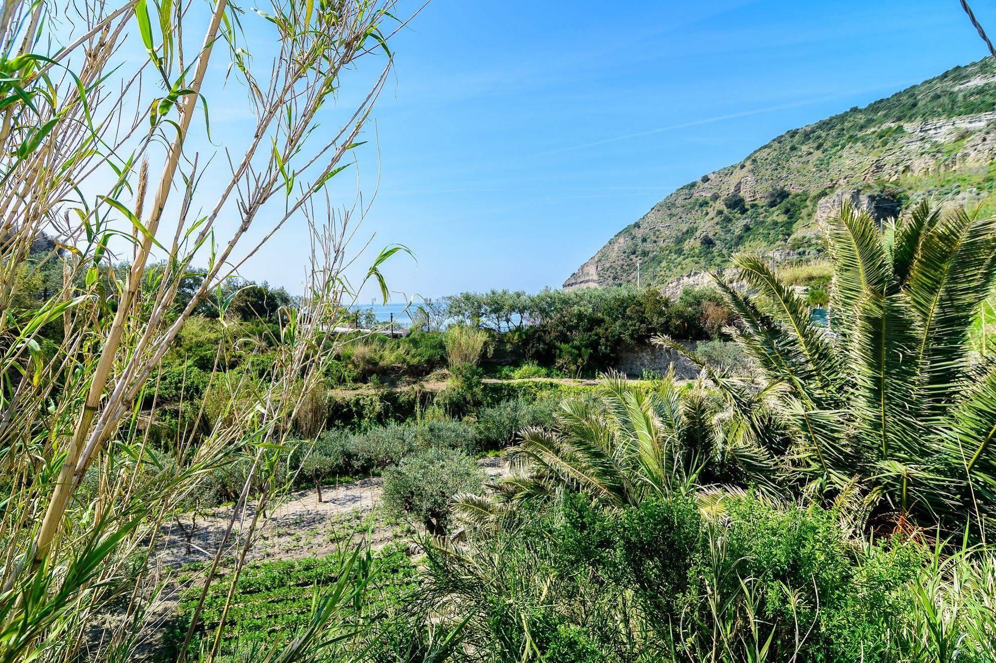 Hotel Villa Fumerie Forio di Ischia Kültér fotó